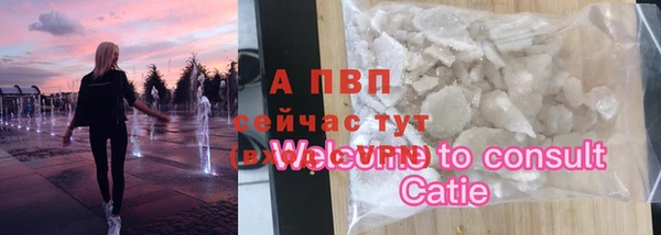 дживик Богданович