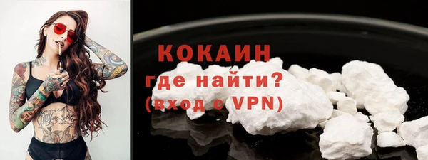 дживик Богданович