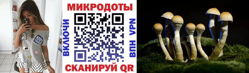 Галлюциногенные грибы Cubensis  Неман 